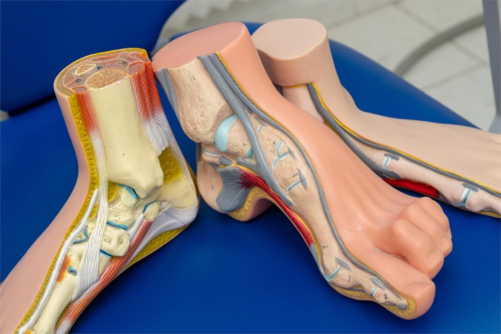 La relación entre los problemas circulatorios y la salud de los pies