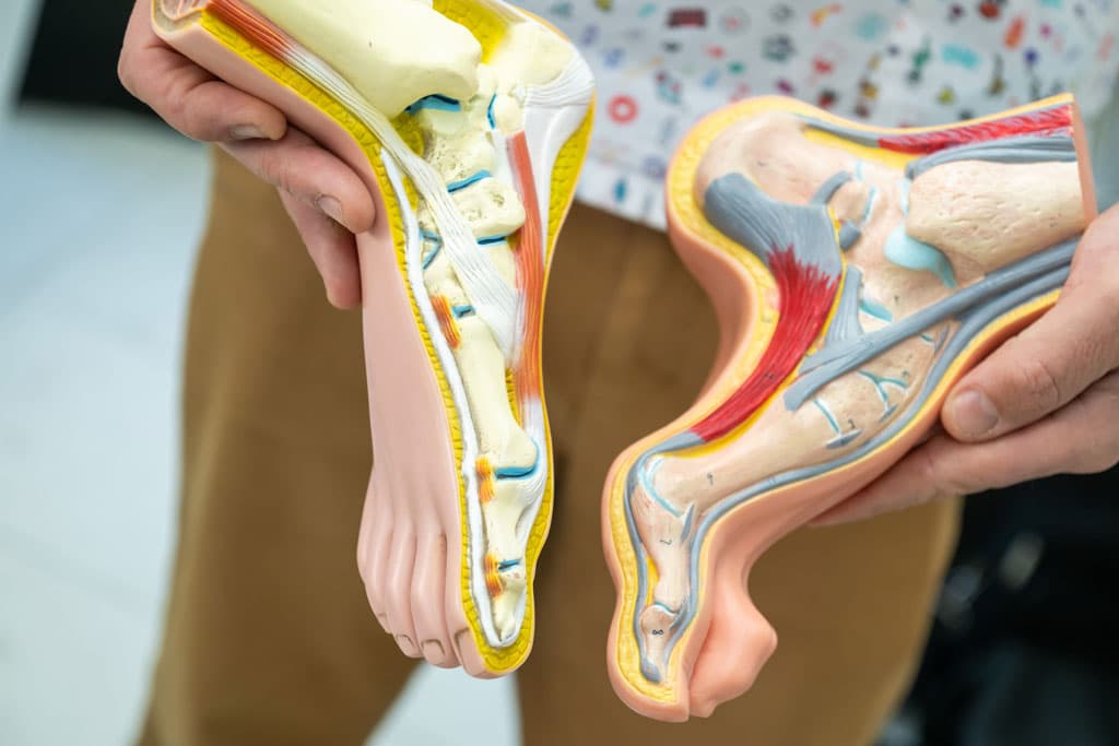 Ir ao podólogo en Ourense